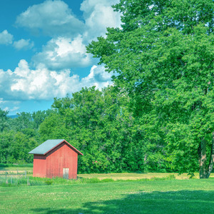 바람이 지나가는 오솔길 (테라피 연주)
