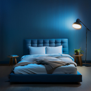 Descansa Tranquilo Al Ritmo Sereno De Lofi