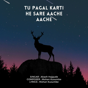 Tu Pagal Karti He Sare Aache Aache