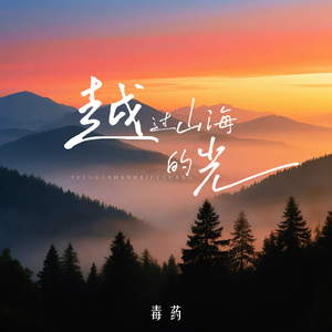 越过山海的光