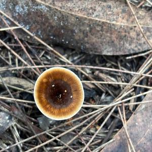 나의딸 나의 사랑