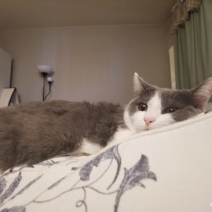 Again(Prod.By Xiangyue)