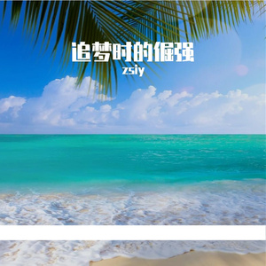 追梦时的倔强