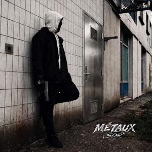 Métaux