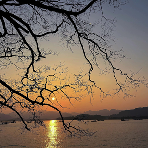 第一眼就爱上的人怎么甘心做朋友