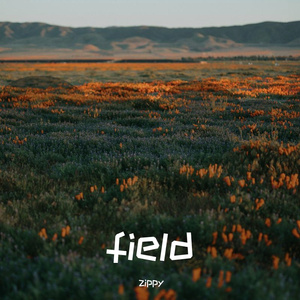 【FREE】“田野” Grunge type beat