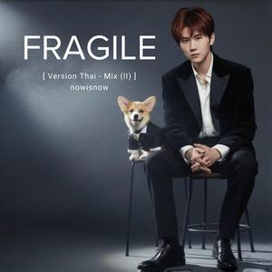 FRAGILE (Thai Mix – II)