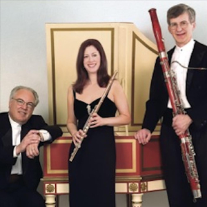 Sonata in G Major, Op. 1 No. 5: V. Menuetto