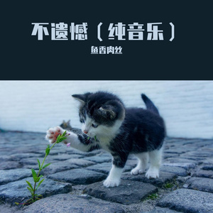 不遗憾（纯音乐）