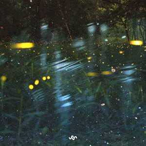 we were made for the moon