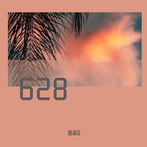 04 628