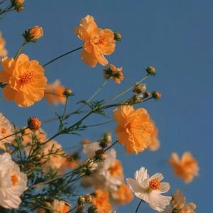 Soft and Low