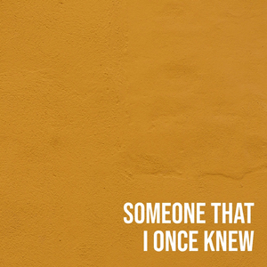 Someone That I Once Knew