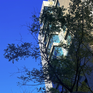 放松时光