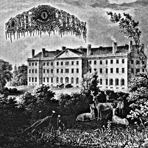 Lepidopteran Manifesto