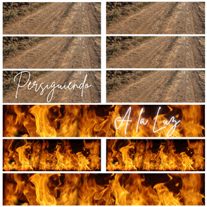 Persiguiendo a la Luz