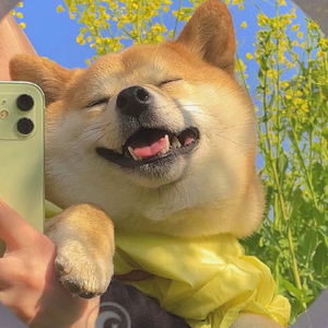 Abyss0.1（30sutt remix）