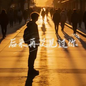 后来再没见过你（R&B）