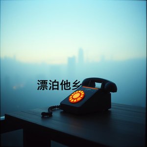 漂泊他乡