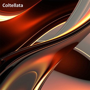 Coltellata (Slowed Remix)