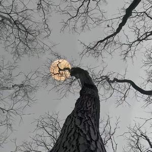 爱你的资格 伴奏