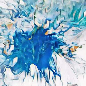 Gökçeoğlu Çorapları