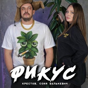 Фикус