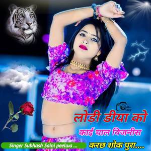 लोडी डीया को काई चाल बिजनीस करछ शोक पुरा