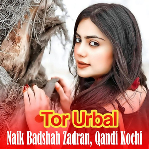 Baghar La Yara Akhtar