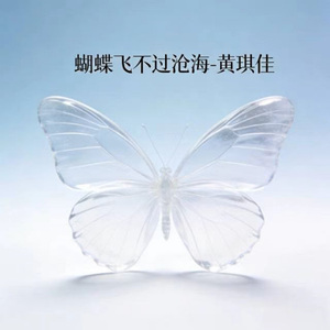 蝴蝶飞不过沧海 (烟嗓版)