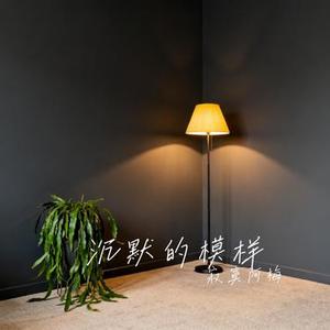 沉默的模样 (Cover 老羊)