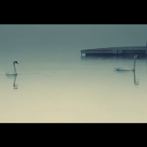 【口琴】愛 【Picon_ピコン】