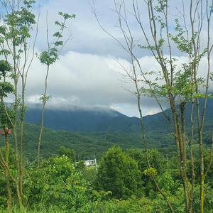 가을로 접어든 세상