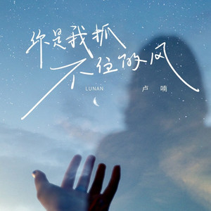 你是我抓不住的风