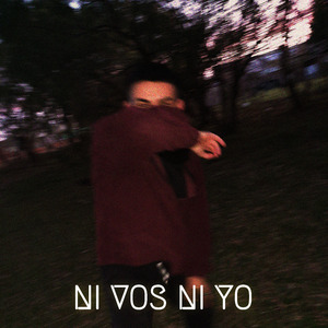 Ni Vos Ni Yo