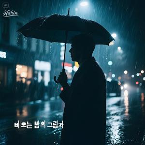 비 오는 밤의 그림자