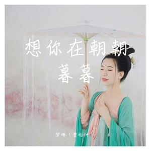 想你在朝朝暮暮 坤坤2