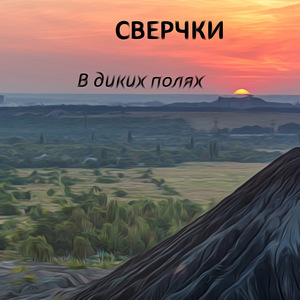 В диких полях