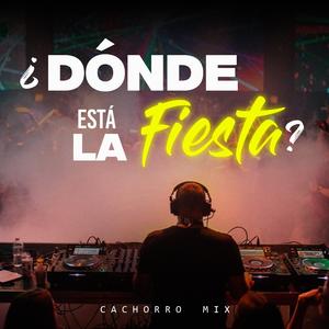 Dónde está la fiesta