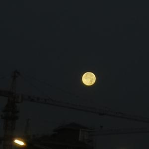 白日梦（Prod By AC-double）