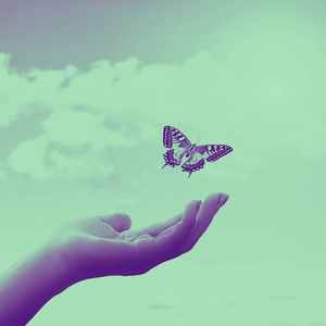 诗意的早上休息节奏