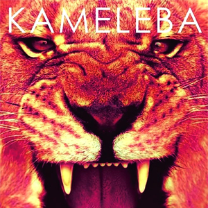 El Activista (feat. Raly Barrionuevo)