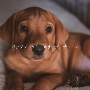 Number One Sunday Lunches at Home