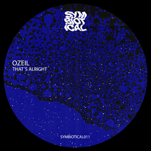 Lowkey Theory (Nicola Brusegan Remix) (Nicola Brusegan Remix)