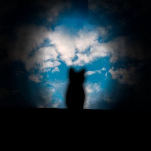 Кот (Prod. Ilym0Raxd)