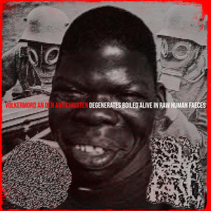 Die Eisenfaust Am Lanzenschaft