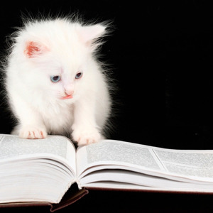 心仪（Cover 徐秉龙）