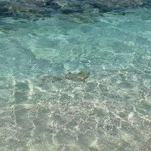 于你（Cover不药而愈）