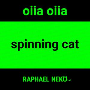 spinning cat (oiia oiia)