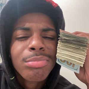 Trakk Hawk